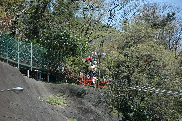 篠栗 南蔵院 1_a0042310_1823302.jpg