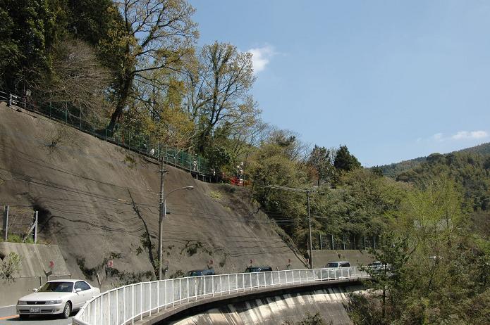 篠栗 南蔵院 1_a0042310_18234592.jpg