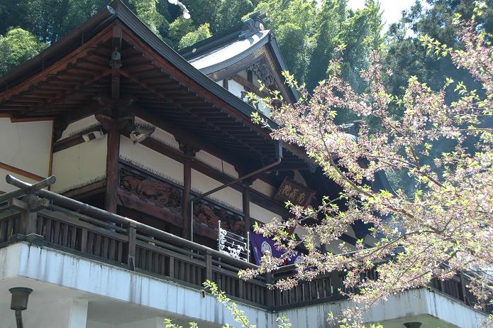 篠栗 南蔵院 1_a0042310_1845043.jpg