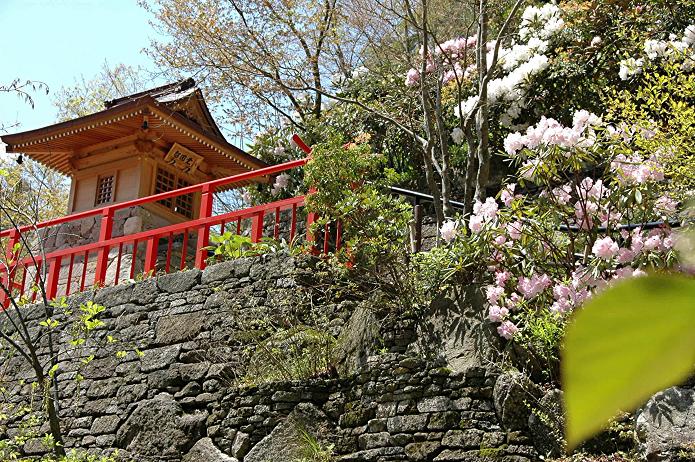 篠栗 南蔵院 1_a0042310_1872366.jpg