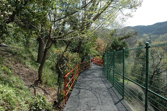 篠栗 南蔵院 1_a0042310_1882895.jpg