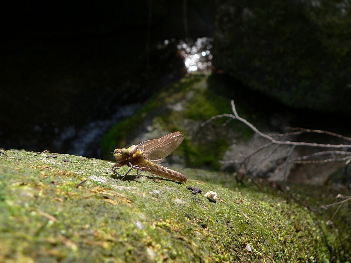 e0002314_1854517.jpg