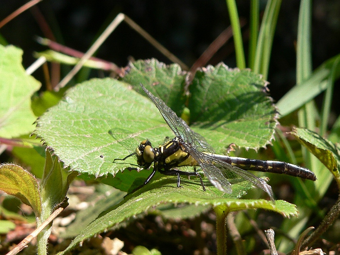 e0002314_1858159.jpg