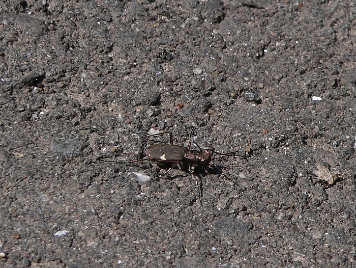 e0002314_19334856.jpg
