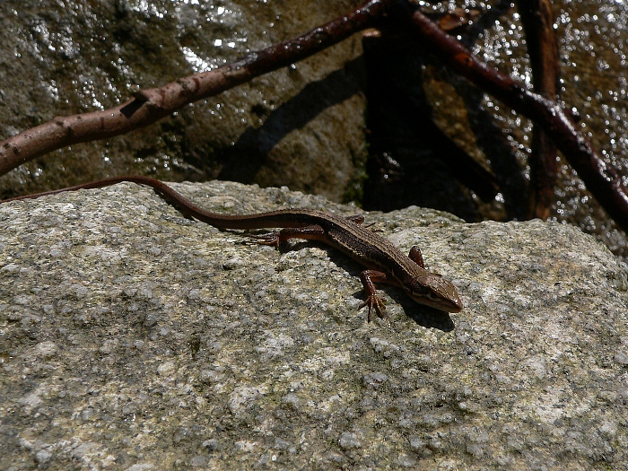 e0002314_19349100.jpg