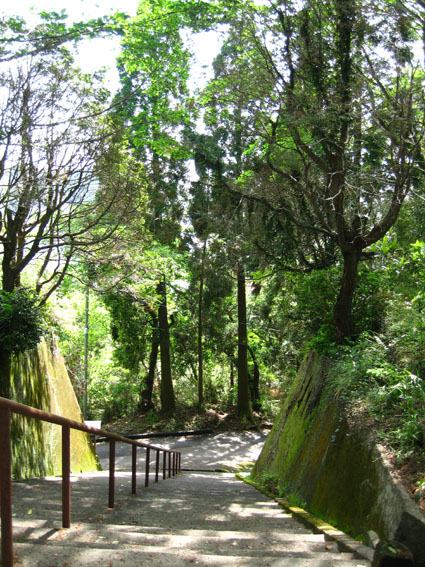 f0105533_1151444.jpg