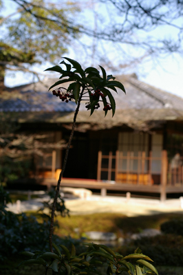 f0108133_1124847.jpg
