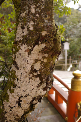 f0108133_12435087.jpg