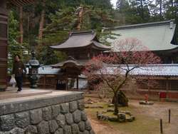 f0040734_20871.jpg
