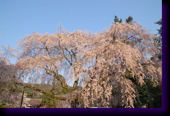 南禅寺_e0067435_21283723.jpg