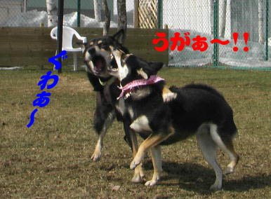 e0000946_09957.jpg