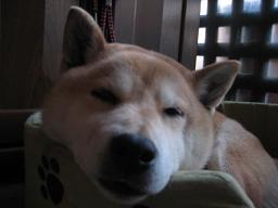 並ぶ人達_c0049950_20451617.jpg