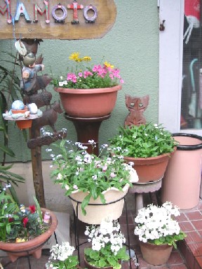 e0031572_882475.jpg