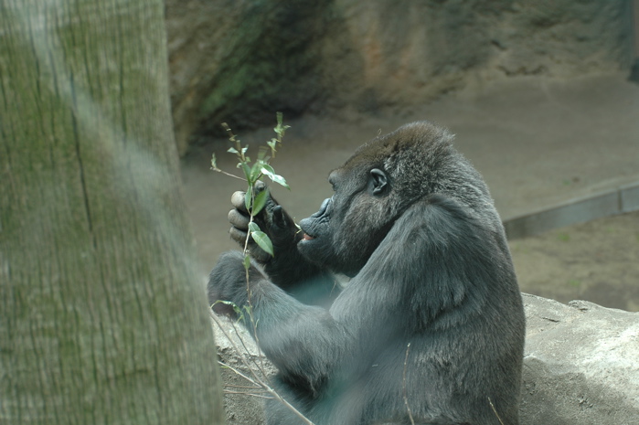 動物園 第２弾_e0015377_18454232.jpg