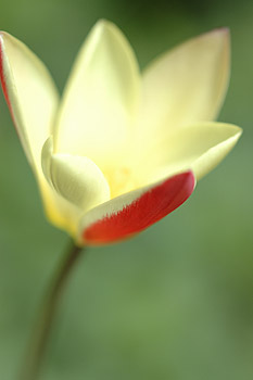 c0026690_20433036.jpg