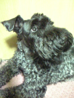 c0037701_0302918.jpg