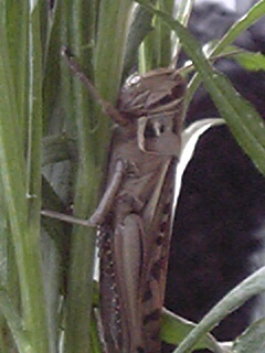 c0037701_043587.jpg