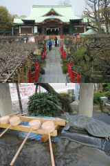 亀の街の天神様　－亀戸天神－_d0014408_15181226.gif