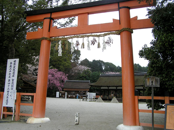 上賀茂神社と鴨川ーー花の_e0048413_2253418.jpg