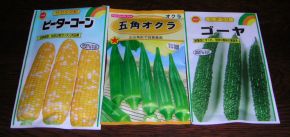 老人と園芸_c0025115_093893.jpg