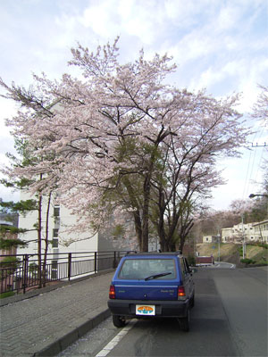 c0070528_0352423.jpg