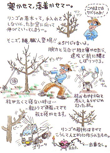 縄職人。 : 農作業ブログ こずく男。