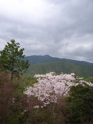 d0018837_0444633.jpg