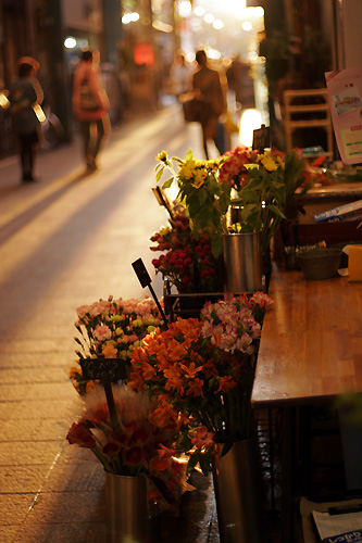 c0047744_1584261.jpg