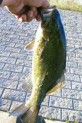 f0073059_97641.jpg