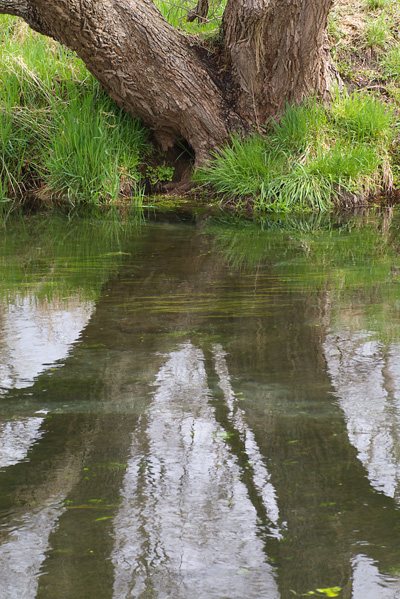 水辺にて_c0054876_654243.jpg