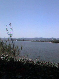 f0072976_11174828.jpg