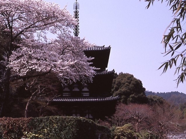 【　當麻寺　-　二上山麓　】_d0044588_21533927.jpg