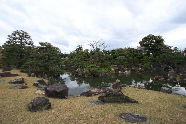 二条城の桜_e0051888_2133133.jpg