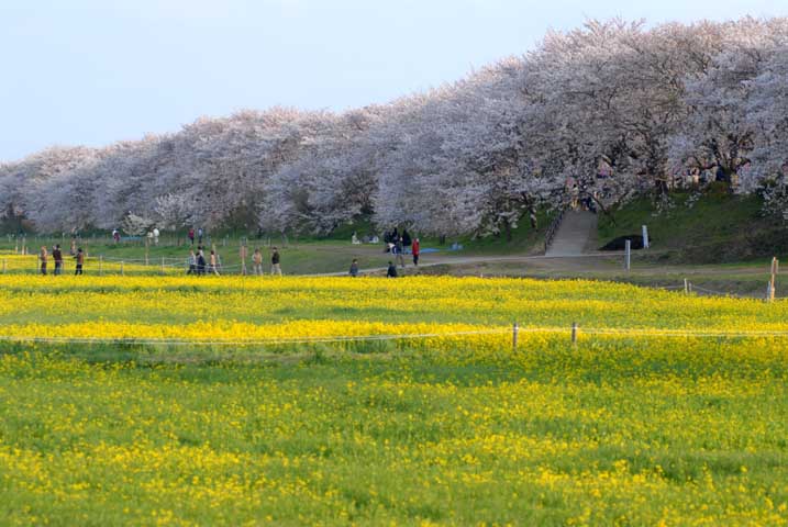 f0050202_11501981.jpg
