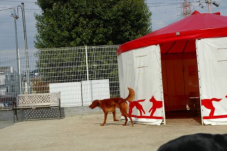 c0065512_2328498.jpg