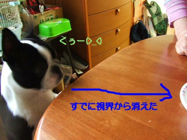 f0059334_1039516.jpg