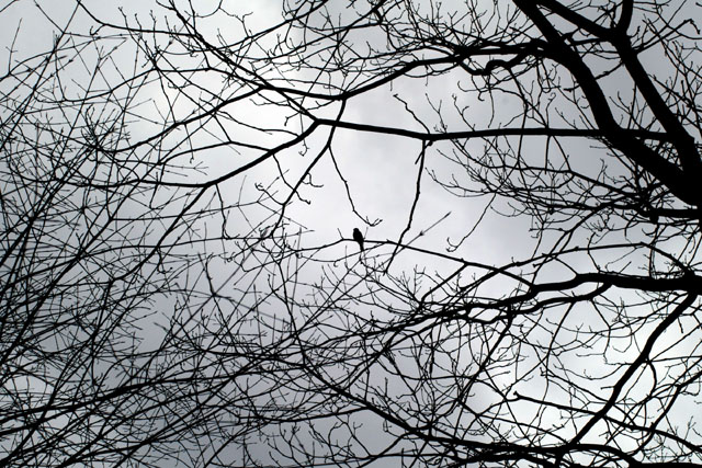 d0034980_22531020.jpg