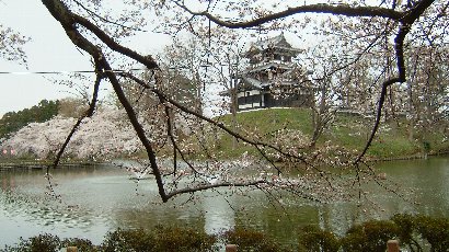 城と桜ポイント！_e0065084_0382079.jpg