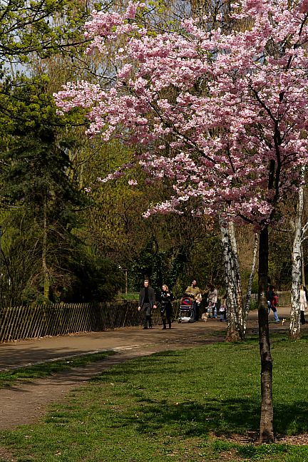c0023993_714189.jpg
