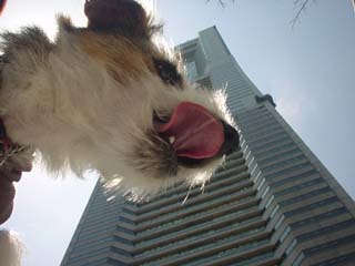 f0080105_09312.jpg