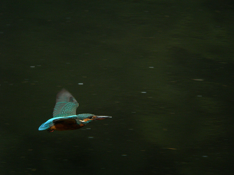 f0003418_2116665.jpg