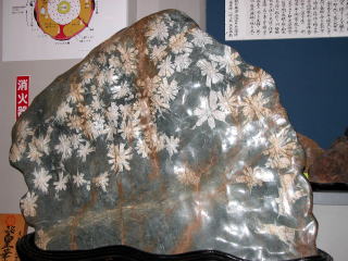 d0045626_22281154.jpg