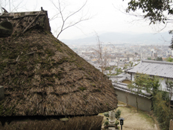 関西旅行７　京都（修学院周辺）_f0009457_21195386.jpg