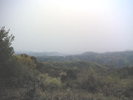 桜吹雪と新緑・六国見山・４月１９日_c0014967_1272227.jpg