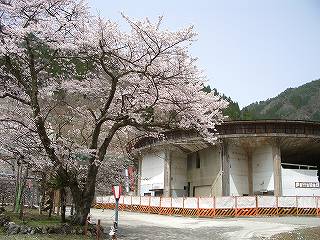 c0015978_12688.jpg