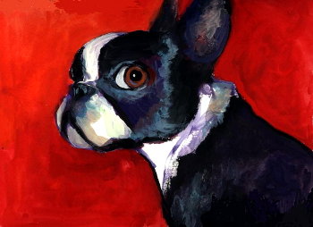 Boston Terriers Painting_f0039379_5185867.jpg