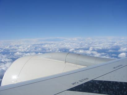 d0010182_2018163.jpg