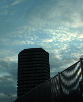 b0054498_14823.jpg