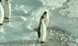 d0052701_12451959.gif