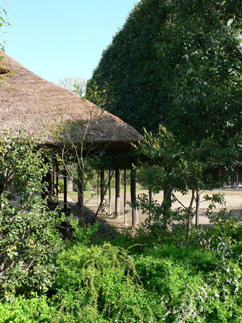 小平ふるさと村_b0014003_17531191.jpg